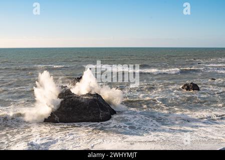 Goat Rock, Northern California, Seagull, Waves, Coastal beauty, Pacific Ocean, Rock formations, Coastal waves Stock Photo