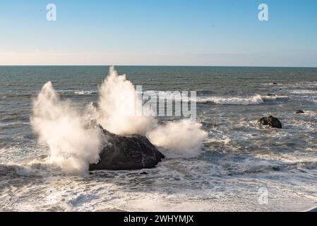 Goat Rock, Northern California, Seagull, Waves, Coastal beauty, Pacific Ocean, Rock formations, Coastal waves Stock Photo