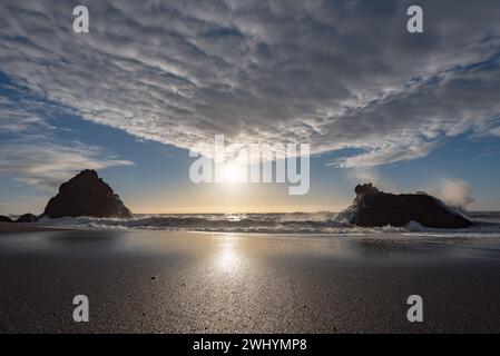 Goat Rock, Northern California, Seagull, Waves, Coastal beauty, Pacific Ocean, Rock formations, Coastal waves Stock Photo