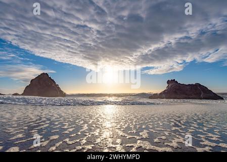 Goat Rock, Northern California, Seagull, Waves, Coastal beauty, Pacific Ocean, Rock formations, Coastal waves Stock Photo