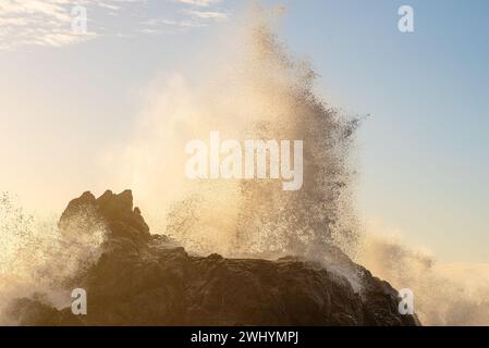 Goat Rock, Northern California, Seagull, Waves, Coastal beauty, Pacific Ocean, Rock formations, Coastal waves Stock Photo