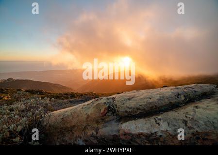 Whispy Fog, Sunset, Santa Barbara Mountains, Chaparral, Yucca, Landscape, Dreamy, Colors, Atmosphere, Foggy, Mountain Range, Ethereal, Scenic Stock Photo