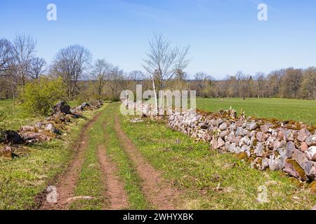 Dirt road with stone walls a in the countryside at spring Stock Photo