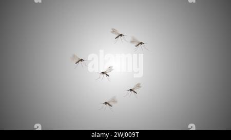 Dengue mosquitoes isolated flying on gradient background Stock Photo
