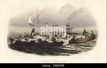 Fishing for Atlantic bluefin tuna, Thunnus thynnus. Fishermen using a large seine (fishing net) raised between four rowboats to catch tuna in the traditional Mediterranean method known as Madrague. Tourists watch from a rowboat. La madrague ou peche du thon. Handcoloured steel engraving by Charles Beyer after an illustration by Edouard Travies from Bernard Germain de Lacepede’s Histoire Naturelle de Lacepede, comprenant les cetaces, les quadrupedes ovipares, les serpents et les poissons, Furne et Cie, Paris, 1847. Stock Photo