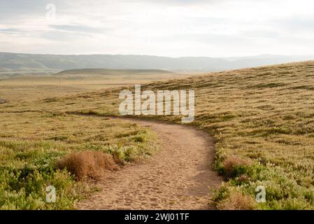 Dirt Paths, Vivid Sunset, Grassy Hills, Rolling Hills, Antelope Valley, California, Nature, Landscape, Sunset Glow Stock Photo