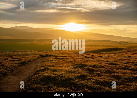 Dirt Paths, Vivid Sunset, Grassy Hills, Rolling Hills, Antelope Valley, California, Nature, Landscape, Sunset Glow Stock Photo