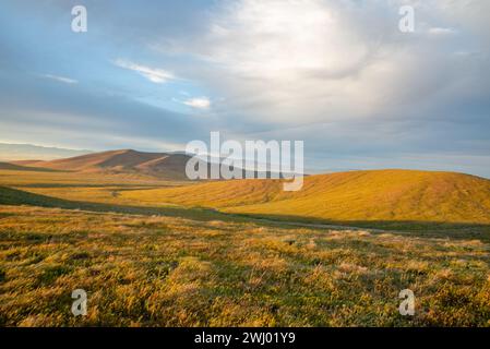 Dirt Paths, Vivid Sunset, Grassy Hills, Rolling Hills, Antelope Valley, California, Nature, Landscape, Sunset Glow Stock Photo