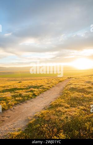 Dirt Paths, Vivid Sunset, Grassy Hills, Rolling Hills, Antelope Valley, California, Nature, Landscape, Sunset Glow Stock Photo