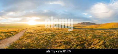 Dirt Paths, Vivid Sunset, Grassy Hills, Rolling Hills, Antelope Valley, California, Nature, Landscape, Sunset Glow Stock Photo