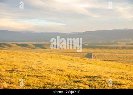 Dirt Paths, Vivid Sunset, Grassy Hills, Rolling Hills, Antelope Valley, California, Nature, Landscape, Sunset Glow Stock Photo