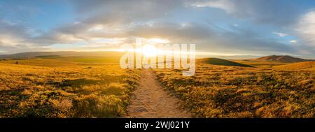Dirt Paths, Vivid Sunset, Grassy Hills, Rolling Hills, Antelope Valley, California, Nature, Landscape, Sunset Glow Stock Photo