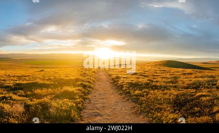 Dirt Paths, Vivid Sunset, Grassy Hills, Rolling Hills, Antelope Valley, California, Nature, Landscape, Sunset Glow Stock Photo
