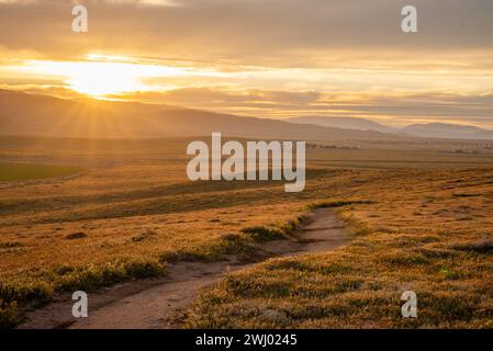 Dirt Paths, Vivid Sunset, Grassy Hills, Rolling Hills, Antelope Valley, California, Nature, Landscape, Sunset Glow Stock Photo