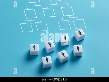 Arranging employees in company hierarchical organizational chart. Human resources delineating roles, line of authority and responsibilities to the emp Stock Photo