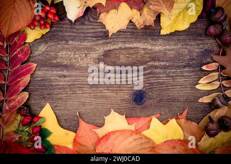 Old wooden board with autumn leaves Stock Photo