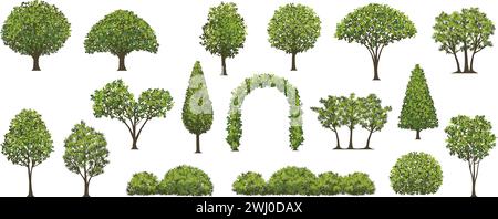 Trees And Shrubs Vector Illustration Set Isolated On A White Background. Stock Vector
