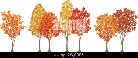 Trees And Shrubs In Autumn Colors Vector Illustration Set Isolated On A White Background. Stock Vector