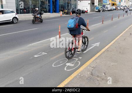 Ein Radweg in der Hauptstadt Lima Peru,09.02.2024 *** A cycle path in the capital Lima Peru ,09 02 2024 Stock Photo