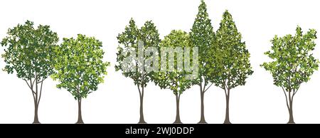 Green Trees And Shrubs Vector Illustration Set Isolated On A White Background. Stock Vector