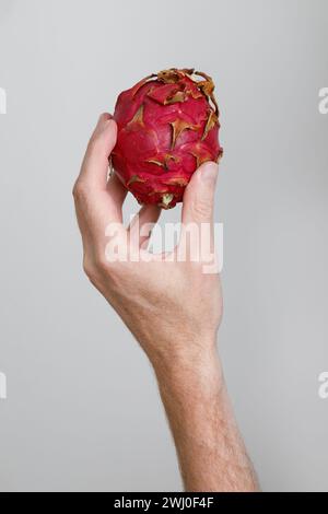 Pitaya fruit in male hand on gray background. Dragon fruit. Stock Photo