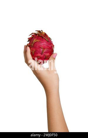 Pitaya fruit in girl hand on gray background. Dragon fruit. Stock Photo