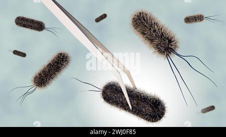 3d rendering of tweezers holding a large, rod-shaped bacterium. E. coli, a common bacterium that is often used in scientific research. Stock Photo