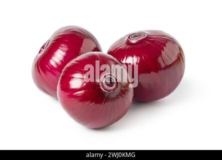 Raw ripe purple whole onion for cooking Stock Photo - Alamy