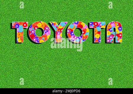 the word TOYOTA written with colorful flowers, illustration, graphic, on a green background Stock Photo
