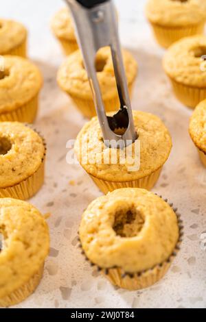 Dulce de Leche Cupcakes Stock Photo