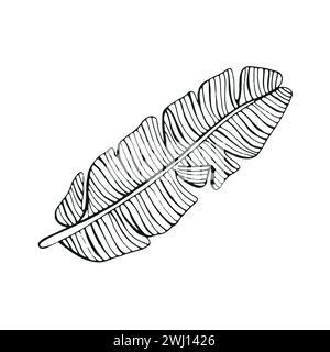leaf line vector art in isolated white background Stock Vector