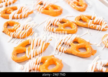 Gourmet Chocolate Covered Pretzel Twist Stock Photo