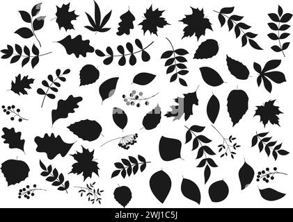 Leaves and berries vector black silhouettes. Maple, rowan and chestnut, oak, elm and ash and birch tree branches. Autumnal monochrome foliage and berries elements set isolated on white background Stock Vector