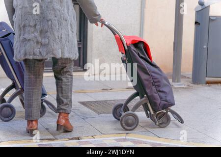 woman seen from the back with a shopping cart in the street Stock Photo