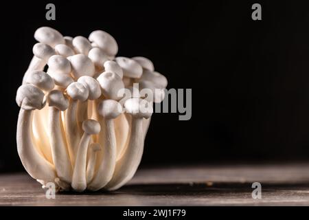 Closeup of a bunch of shimeji mushrooms on wooden and black background, with selective focus, shimiji mushrooms, superfood, a type of delicious oyster Stock Photo
