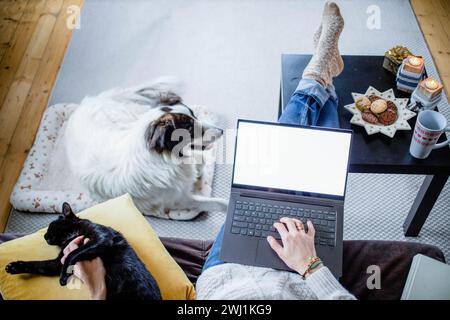 woman at home with dog hygge at Christmas time Stock Photo
