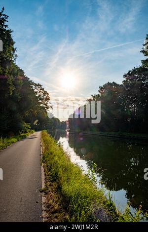 This vibrant image features a pathway running alongside a calm canal, bathed in the sunlight of an early morning. The sun hangs low in the sky, casting a soft yet brilliant light that reflects off the water's surface and filters through the lush greenery of the trees. The path invites a leisurely stroll or bike ride, with the promise of a peaceful journey along the waterway. The play of light and shadow, along with the lens flare, adds a dynamic quality to the tranquil scene. Sunlit Canal Pathway Flanked by Verdant Trees. High quality photo Stock Photo