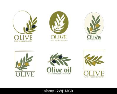 Set of vector logos of olive branch with leaves. Modern hand drawn vector olive oil icons. Branding concept for olive oil company, organic, eco-friend Stock Vector