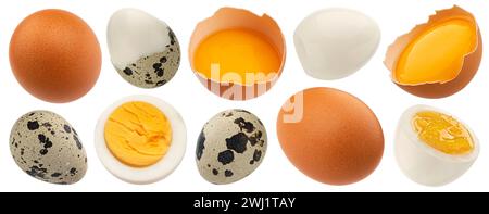 Eggs collection isolated on white background Stock Photo