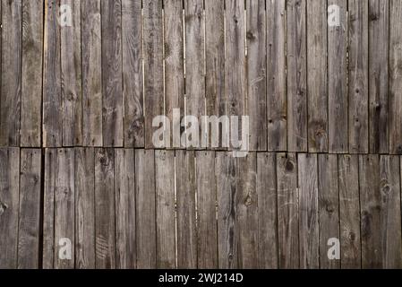 Gray wood texture. background old panels Stock Photo