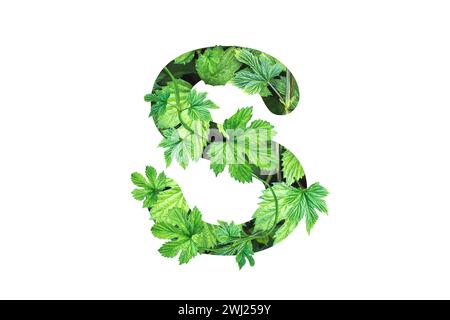 letter S made from green leaves isolated on white Stock Photo