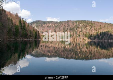 Plansee Österreich Stock Photo