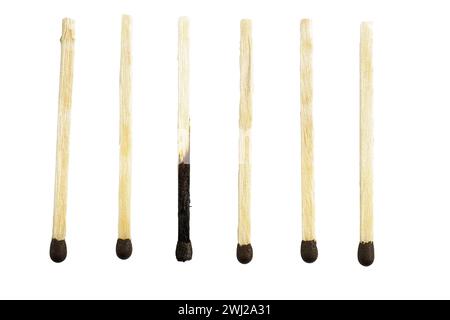 One whole and burnt matches lined up in a row isolated on a white background. The concept of emotional burnout and difference from others or individua Stock Photo