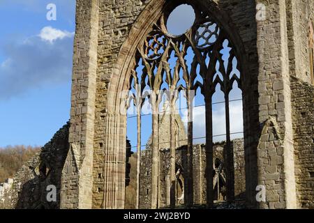 Tintern Abbey, founded in 1131, is situated adjacent to the village of Tintern, Monmouthshire, South Wales, and is undergoing work to make it stable. Stock Photo