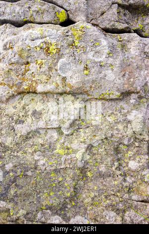 grungy texture of a grey stone with moss and caracks Stock Photo