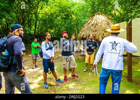 Tulum Quintana Roo Mexico 01. October 2023 People tourists tourism at the Coba Maya Ruins the ancient buildings and pyramids in the tropical forest ju Stock Photo