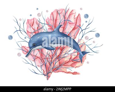 A detailed illustration of a Dolphin for a t-shirt design, wallpaper and  fashion 27762889 Stock Photo at Vecteezy