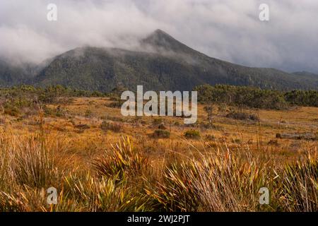 King William range in the Franklin Gordon Wild River national park in the central highlands in Tasmania in Australia Stock Photo