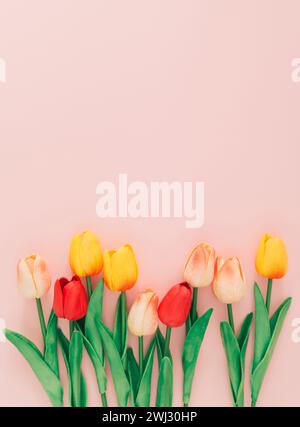 Creative arrangement of tulips on light pastel pink background. Trendy spring concept made with colorful tulip flowers on pastel pink background. Stock Photo