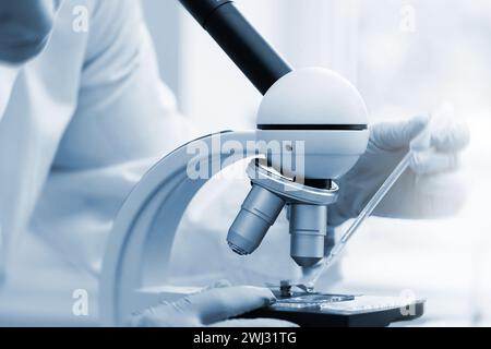 Scientist is using immersion oil for microscopy in a laboratory during science research work Stock Photo